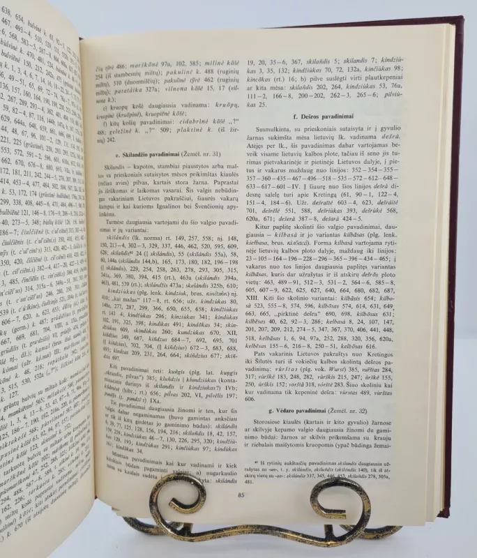 Lietuvių kalbos atlasas I. Leksika - Autorių Kolektyvas, knyga 5
