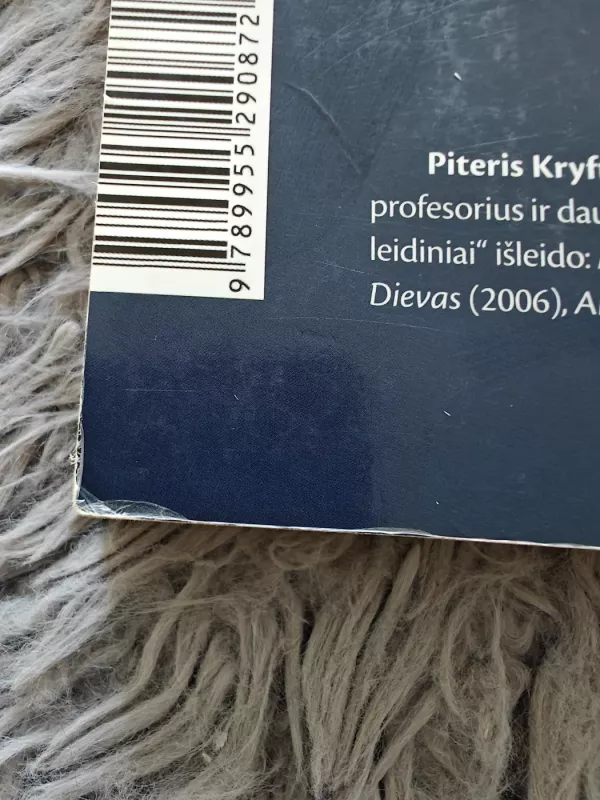 Viskas, ką norėjai sužinoti apie Dangų... - Peter Kreeft, knyga 3