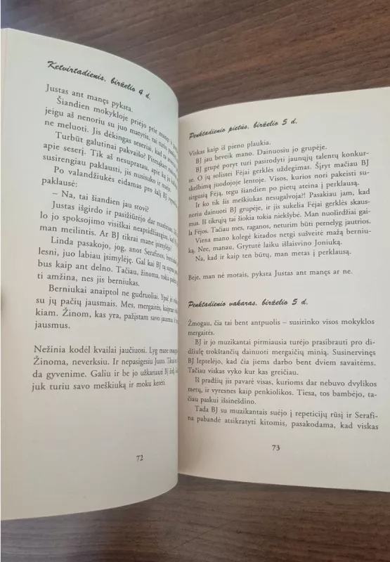 Nevalia bučiuoti raganų - Hortense Ullrich, knyga 3
