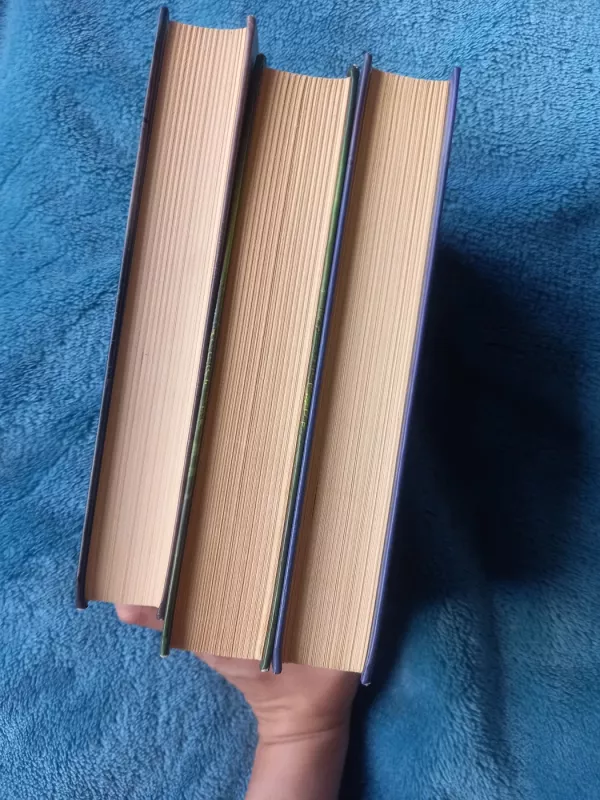 Kaulų miestas, Pelenų miestas, Stiklo miestas - clare cassandra, knyga 6