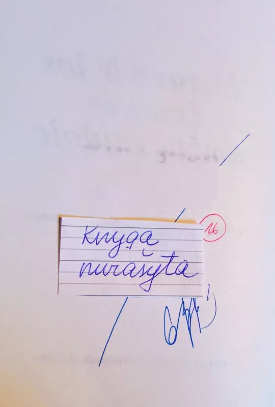 Lietuva ir jos žmonės amžių raidoje - Bronislovas Ausiejus, knyga 3