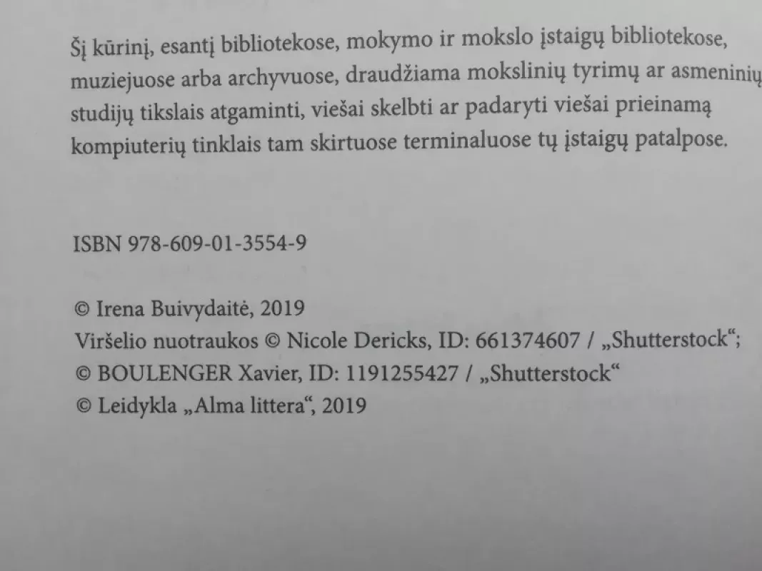 Rožių dvaras - Irena Buivydaitė, knyga 3