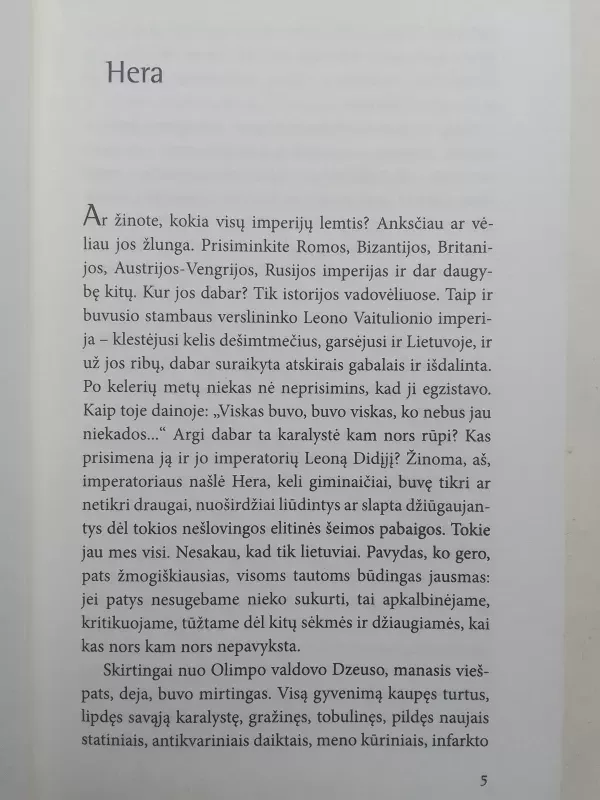 Rožių dvaras - Irena Buivydaitė, knyga 4