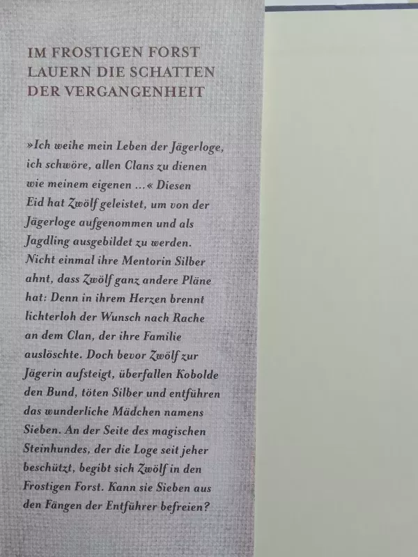 Feuerblut. Der Schwur der Jagdlinge - Aisling Fowler, knyga 3