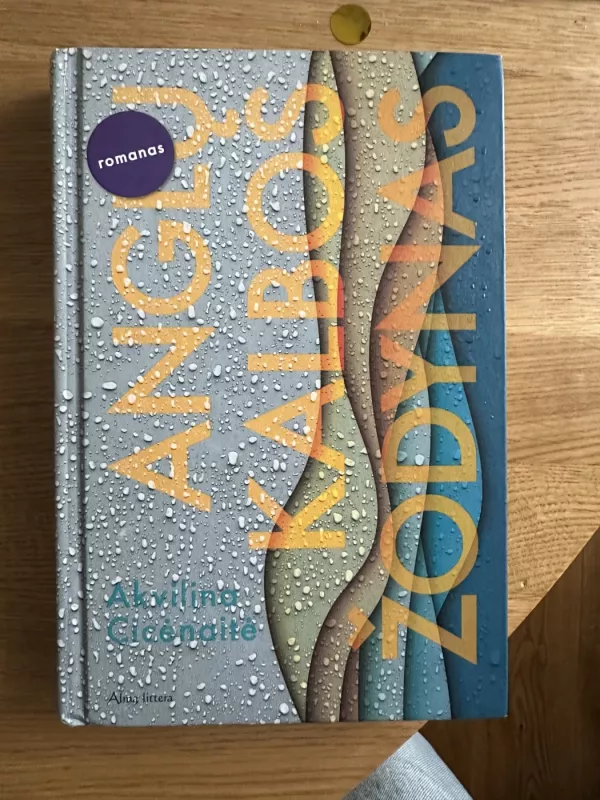 Anglų kalbos žodynas - Akvilina Cicėnaitė, knyga 2