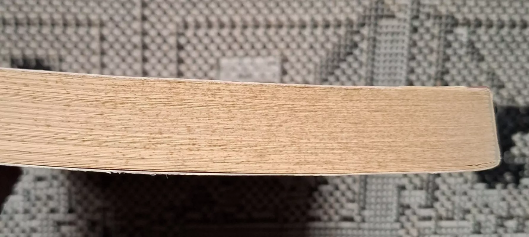 Socializmas, kapitalizmas, transformacija - Leszek Balcerowicz, knyga 4