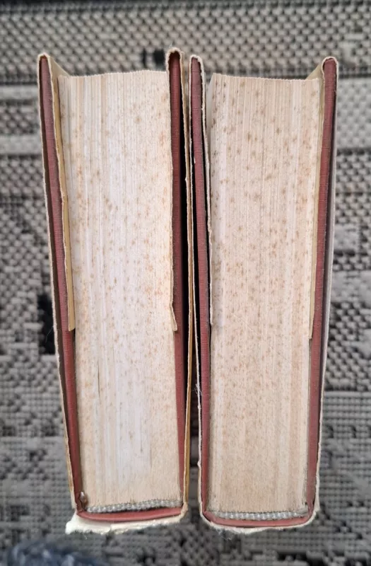 Selected prose and letters - Laurence Sterne, knyga 4