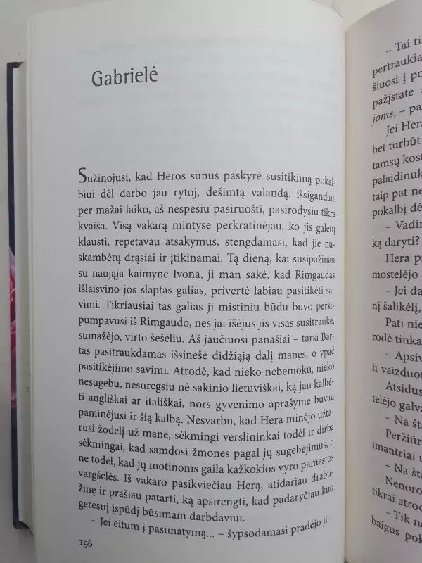 Rožių dvaras - Irena Buivydaitė, knyga 6