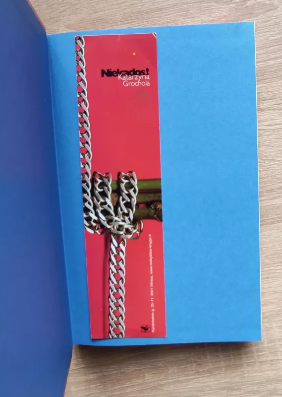 Niekados! - Katarzyna Grochola, knyga 4