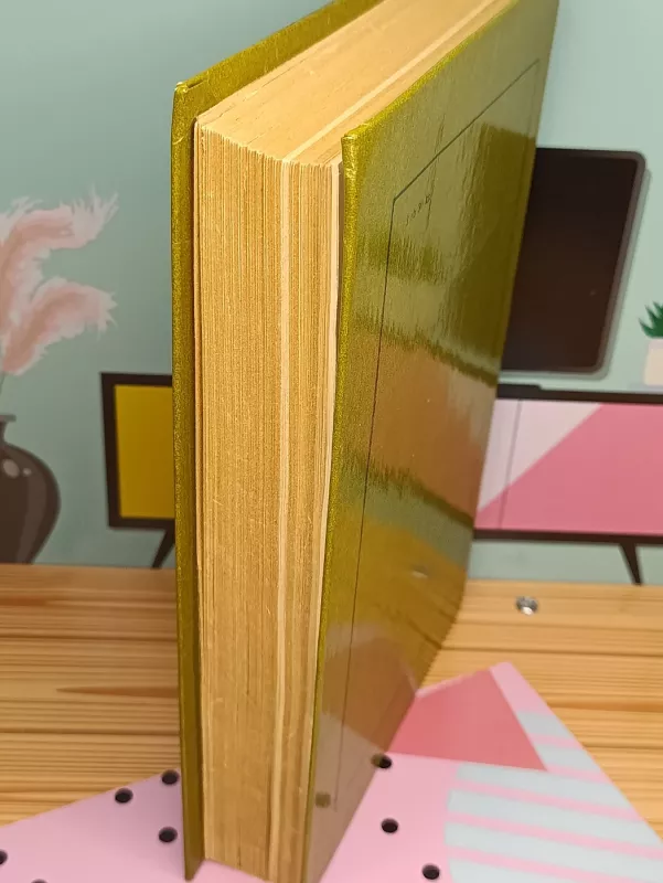 Lotynų amerikos novelės - Autorių Kolektyvas, knyga 3