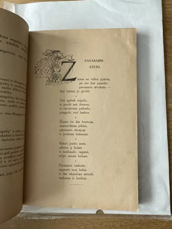 Jaunučiai daigeliai. Pavasaris- Vasara - Aida, knyga 5