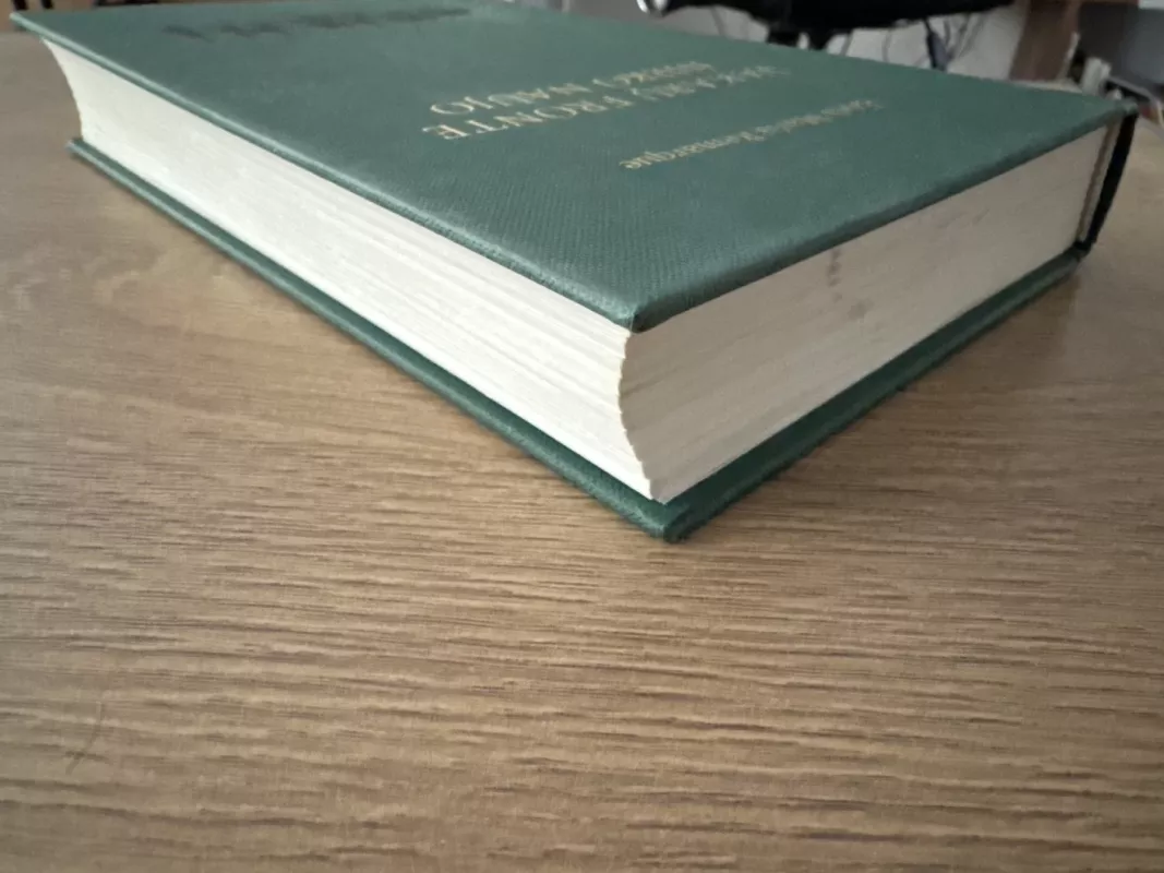 Vakarų fronte nieko naujo - Erich Maria Remarque, knyga 3