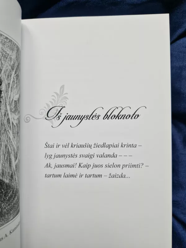 Nevysta, meile, žiedas, skirtas tau... - Česlova Jakštytė, knyga 3