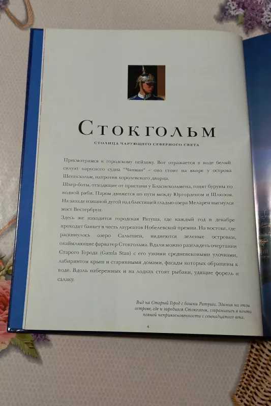 Šviecija - Magnus Ritc, knyga 4