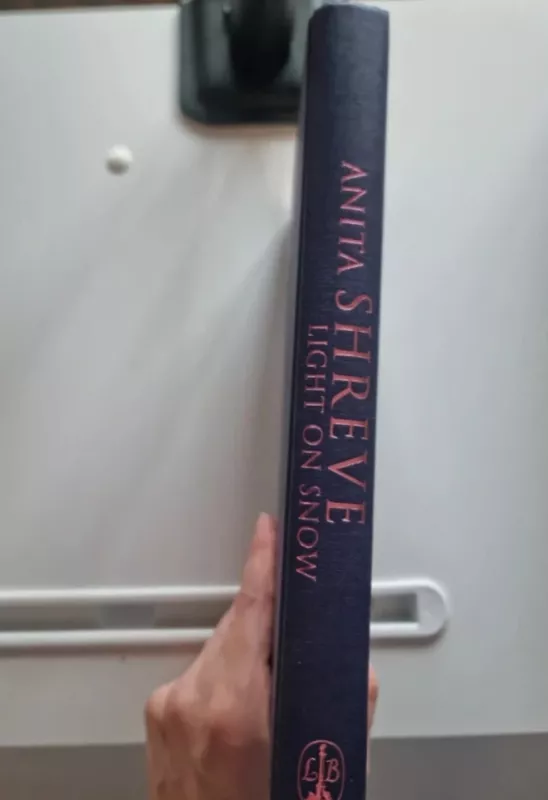 Light on snow - Anita Shreve, knyga 5