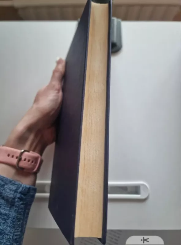 Light on snow - Anita Shreve, knyga 4