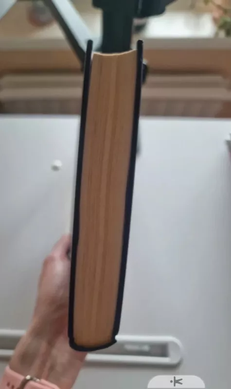 Light on snow - Anita Shreve, knyga 3