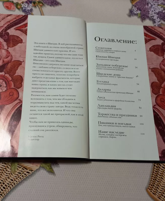 Šviecija - Magnus Ritc, knyga 3