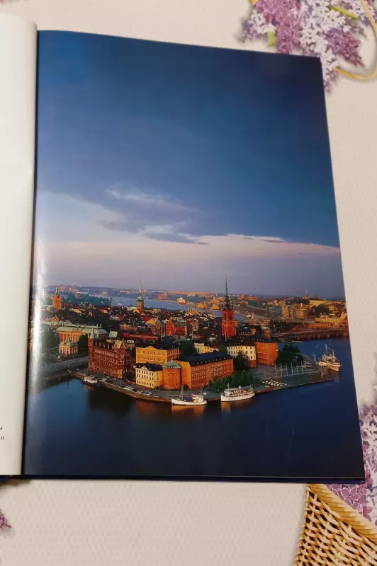 Šviecija - Magnus Ritc, knyga 5