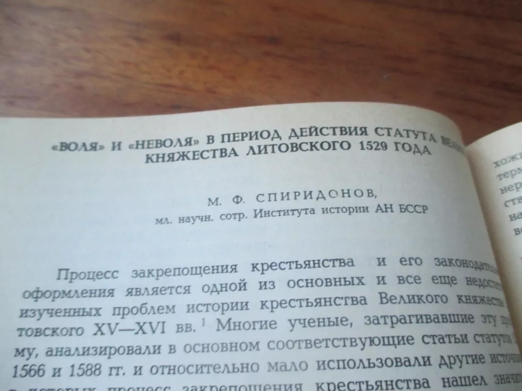 1529 metų Pirmasis Lietuvos Statutas - Autorių Kolektyvas, knyga 6