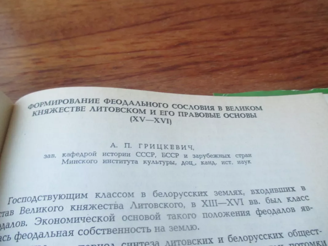 1529 metų Pirmasis Lietuvos Statutas - Autorių Kolektyvas, knyga 5