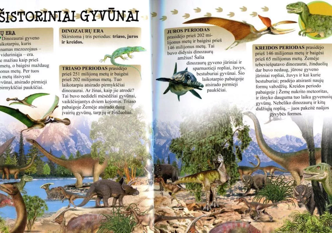 500 klausimų ir atsakymų apie gyvūnus - Autorių Kolektyvas, knyga 3