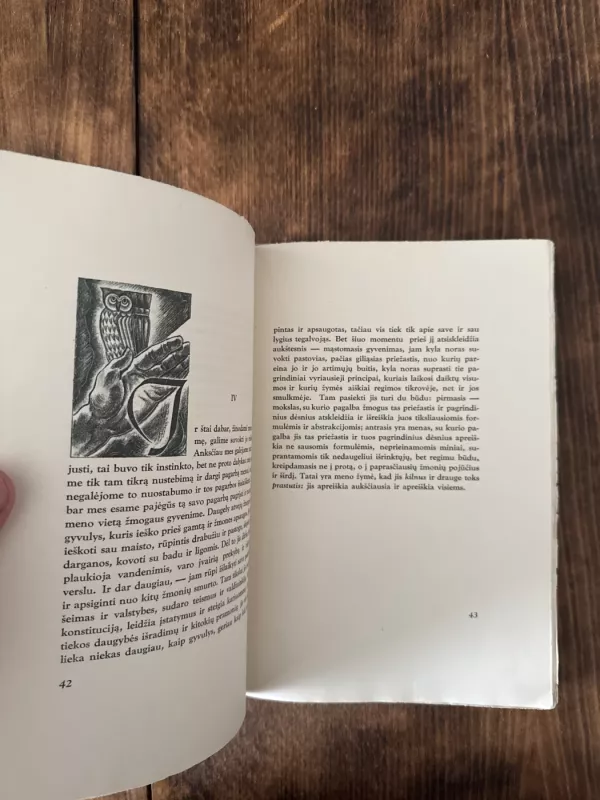 Meno filosofija (2 knygos) - Hippolyte Taine, knyga 4