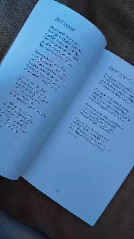 Šviesos srautų prabėgti šį pasaulį... - Vincas Petruševičius, knyga 4