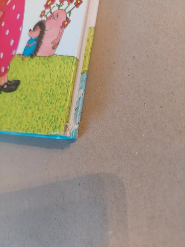 Suvyniota diena, arba Kokio dydžio būna didelė meilė - Jonas Liniauskas, knyga 3