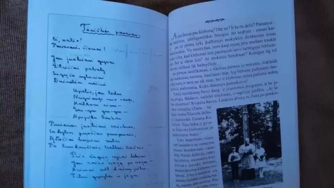 Šviesos srautų prabėgti šį pasaulį... - Vincas Petruševičius, knyga 3