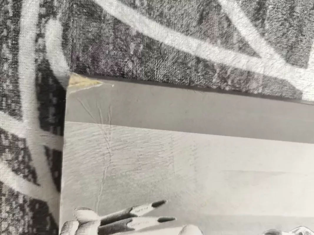 Kedrynų mergaitės istorijos - Elvyra Žeižienė, knyga 3