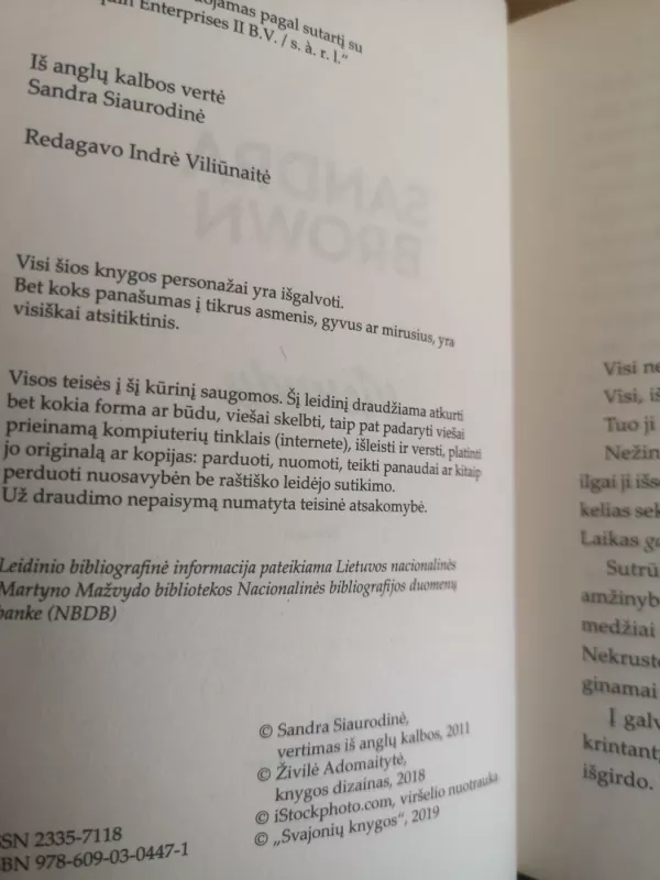 Gydytojo našlė - Daniel Hurst, knyga 5