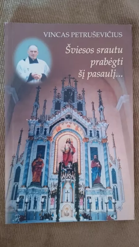 Šviesos srautų prabėgti šį pasaulį... - Vincas Petruševičius, knyga 2