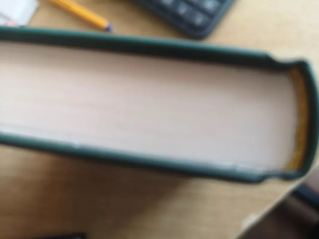 Gydytojo našlė - Daniel Hurst, knyga 4