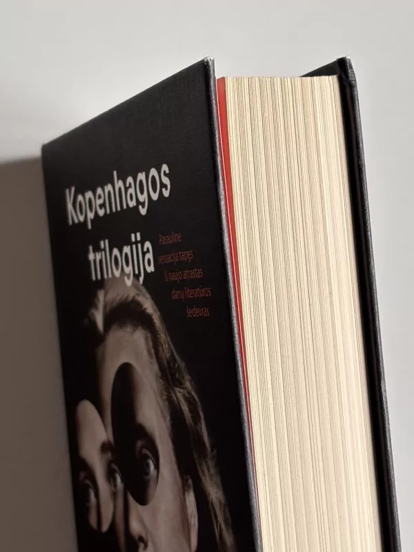 Kopenhagos trilogija - Tove Ditlevsen, knyga 5