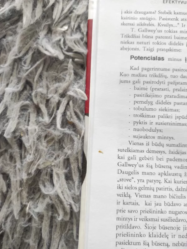 Efektyvus koučingas: koučerių mokytojo pamokos - Downey Myles, knyga 3