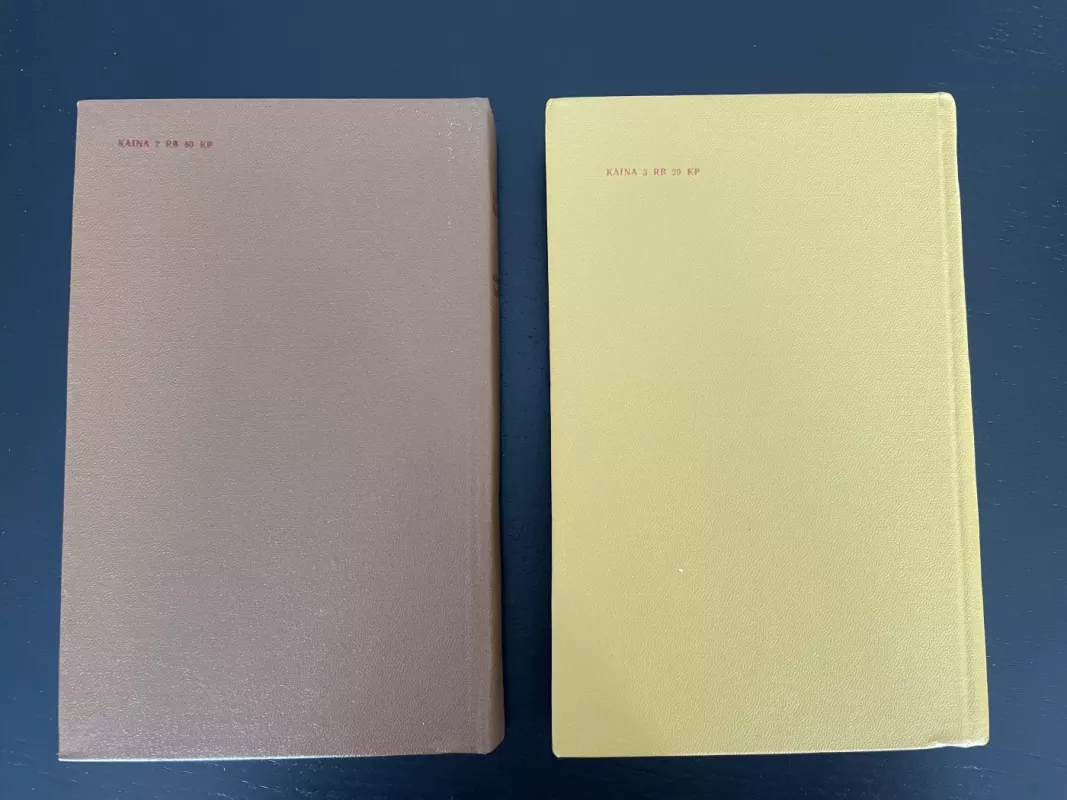 Užburtas kalnas (1 ir 2 tomai) - Tomas Manas, knyga 3