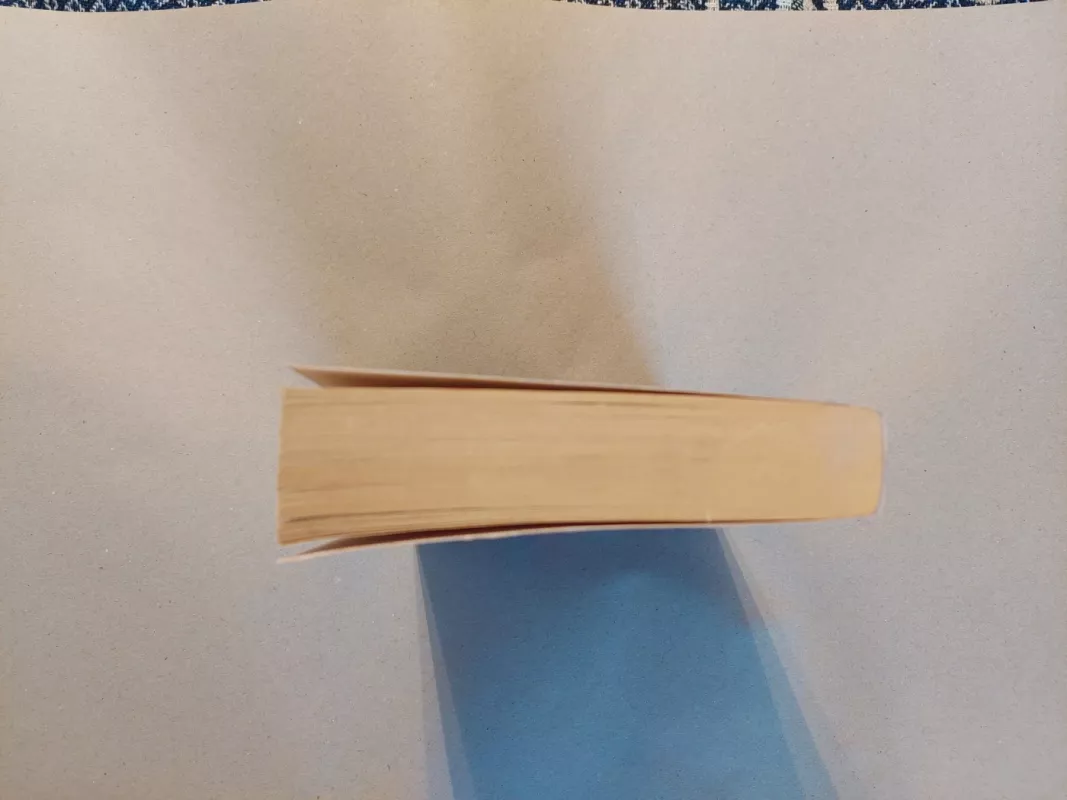 Avies medžioklė - Haruki Murakami, knyga 4