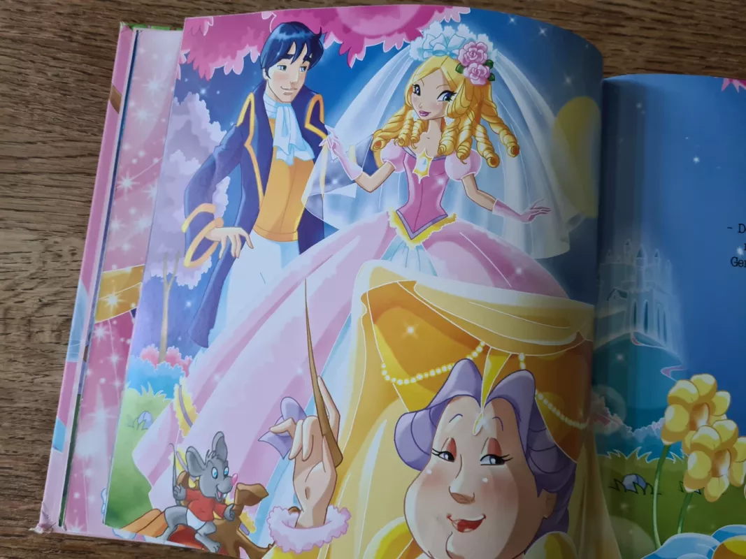 Pasakos apie fėjas ir karalaites - Autorių Kolektyvas, knyga 3