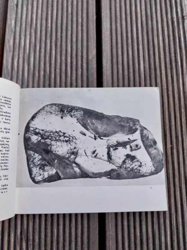 Palangos gintaro muziejus - P. Gudynas, knyga 5