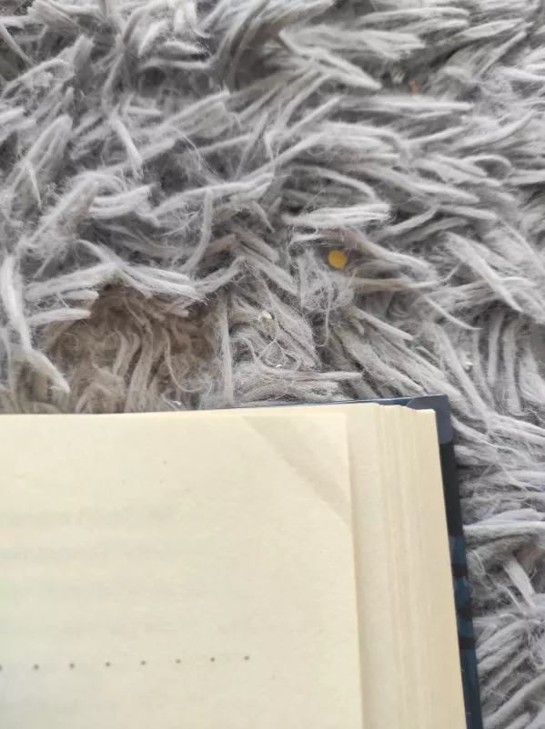 Numirti dar kartą - Tess Gerritsen, knyga 4