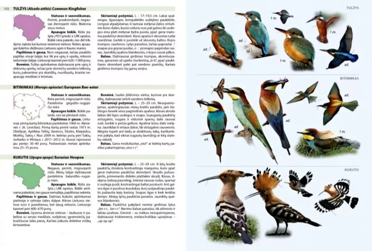 "Lietuvos paukščių pažinimo vadovas" - Vytautas Jusys, knyga 6