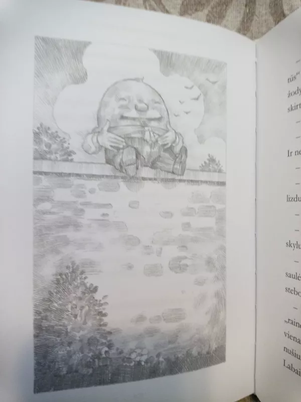 Alisa Stebuklų šalyje ir Veidrodžio karalystėje - Lewis Carroll, knyga 3