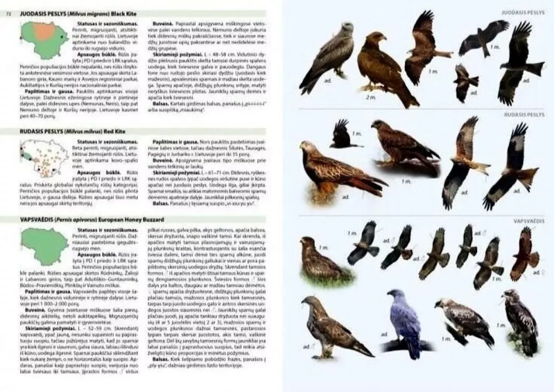 "Lietuvos paukščių pažinimo vadovas" - Vytautas Jusys, knyga 5