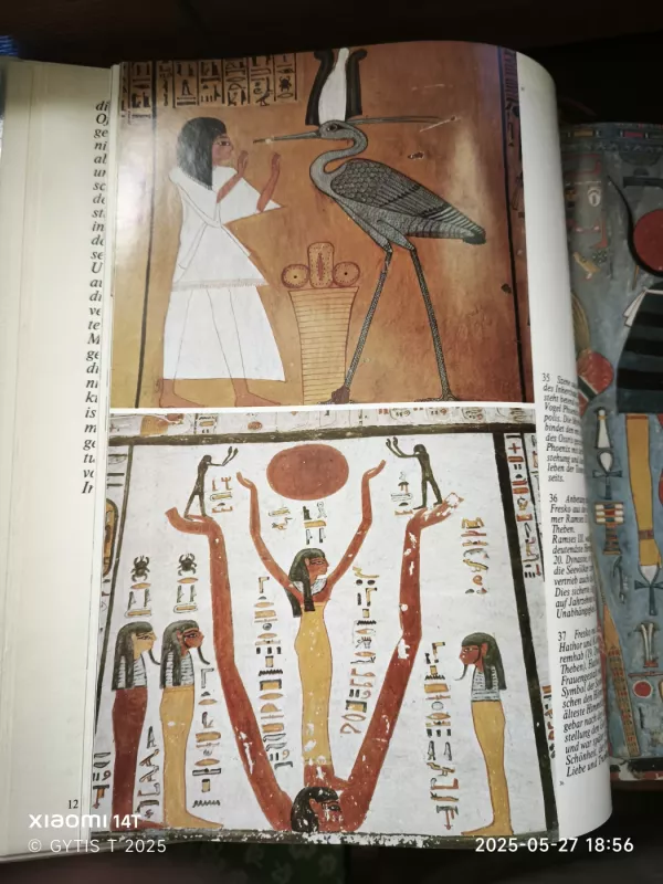 Zauber vergangener reihe - Wilhelm Ziehr, knyga 5