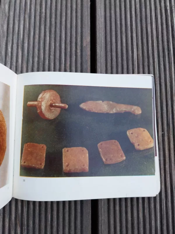 Palangos gintaro muziejus - P. Gudynas, knyga 4