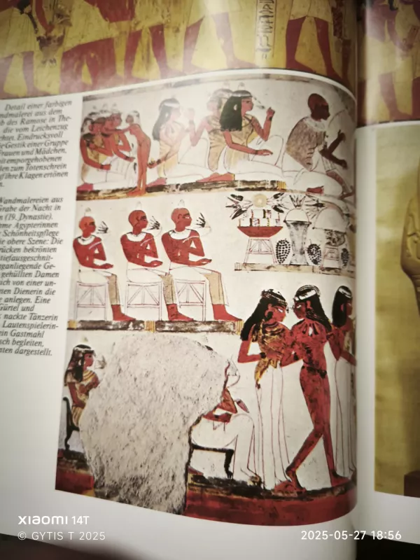 Zauber vergangener reihe - Wilhelm Ziehr, knyga 6