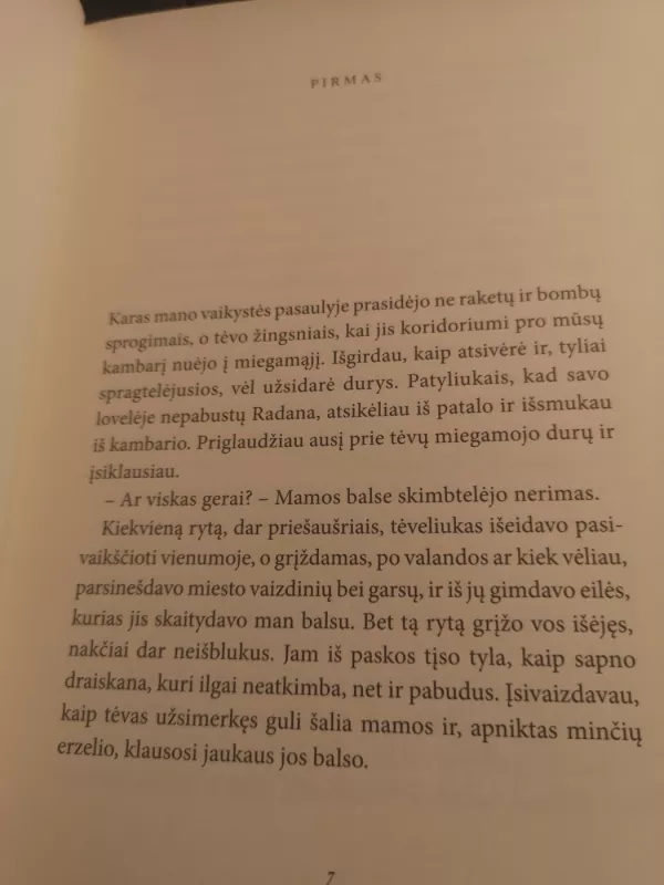 Banjano šešėly - Waddey Ratner, knyga 6