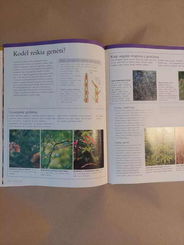 Sodininkavimo menas - Guy Barter, knyga 5