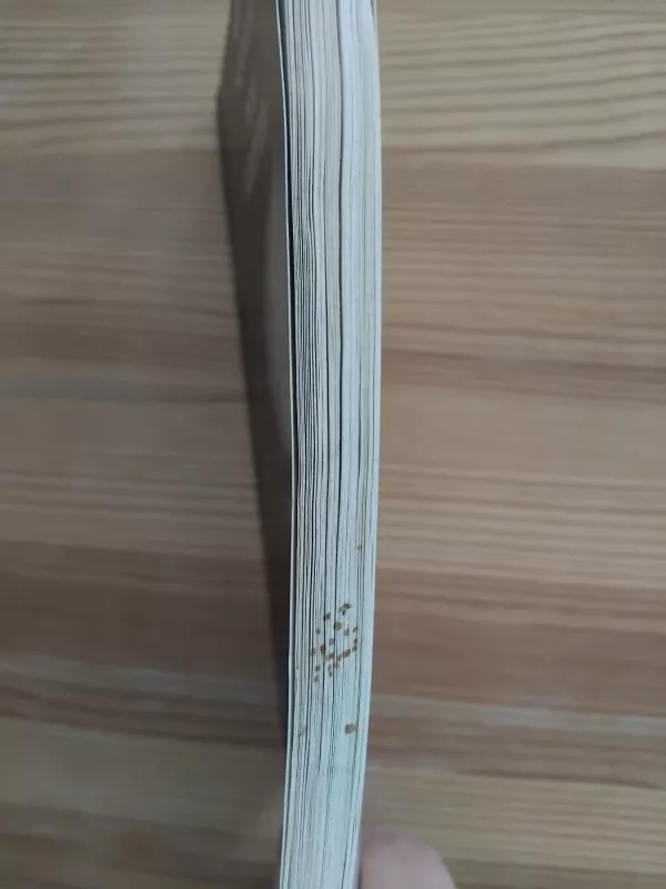 Post scriptum : iš filosofinių dienoraščių - Arvydas Šliogeris, knyga 4